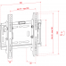 Showgear PLB2342 TV Muurbeugel - 32" tot 42" - 10 neerwaarts kantelbaar - 100265