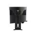 Infinity Raccoon P14/4 - Professional RGBM Par can - 200500