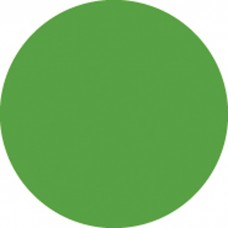 Showgear Colour Roll 122 x 762 cm - Green - 20122R