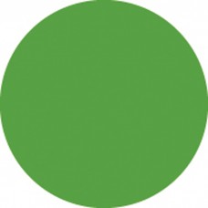 Showgear Colour Roll 122 x 762 cm - Green - 20122R