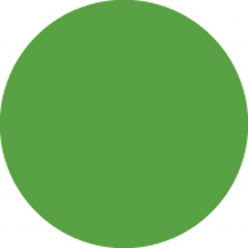 Showgear Colour Roll 122 x 762 cm - Green - 20122R