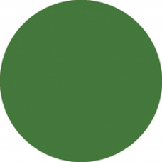 Showgear Colour Roll 122 x 762 cm - Dark Green - 20124R