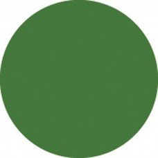 Showgear Colour Sheet 122 x 53 cm - Dark Green - 20124S