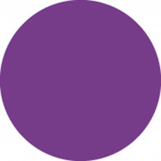 Showgear Colour Roll 122 x 762 cm - Purple - 20126R