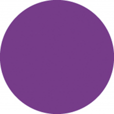 Showgear Colour Roll 122 x 762 cm - Purple - 20126R