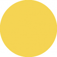 Showgear Colour Sheet 122 x 53 cm - Gold - 20151S