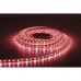 Artecta Havana Ribbon 5050+3528 - 72 - RGBW 5 m - 5050+3528 LED - RGB+6000 K - A0852005