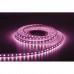 Artecta Havana Ribbon 5050+3528 - 72 - RGBW 5 m - 5050+3528 LED - RGB+6000 K - A0852005