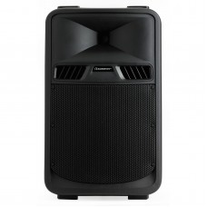 Audiophony SR10A  - 2-way self-powered speaker Bass reflex