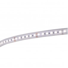 Contest LONGTAPE120CW  Ledstrip koud wit 6000K - 20m rol - 24V - IP68 - 120 LEDs/meter