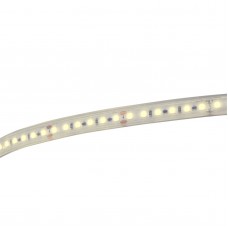 Contest LONGTAPE120WW Ledstrip warm wit 3000K - 20m rol - 24V - IP68 - 120 LEDs/meter