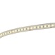 Contest LONGTAPE120WW Ledstrip warm wit 3000K - 20m rol - 24V - IP68 - 120 LEDs/meter