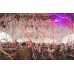 Oh!FX TORNADO 9L MACHINE WITH CONFETTI AND MULTIPURPOSE SHOT SETTING